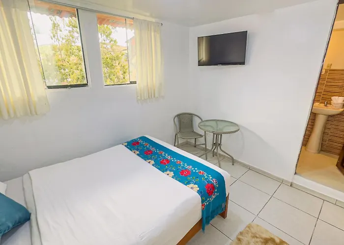 Alegre Plaza Apartment