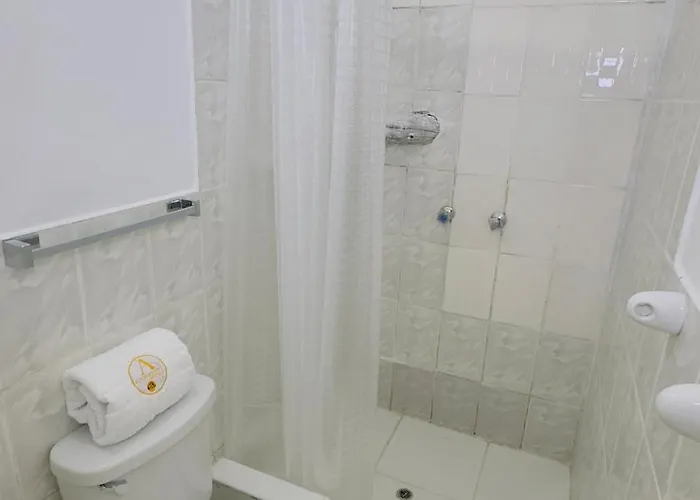 Alegre Plaza Apartment *